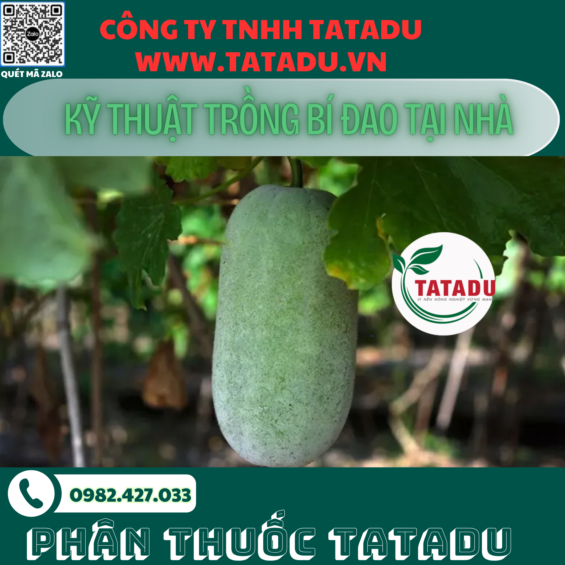 KY THUAT TRONG BI DAO TAI NHA