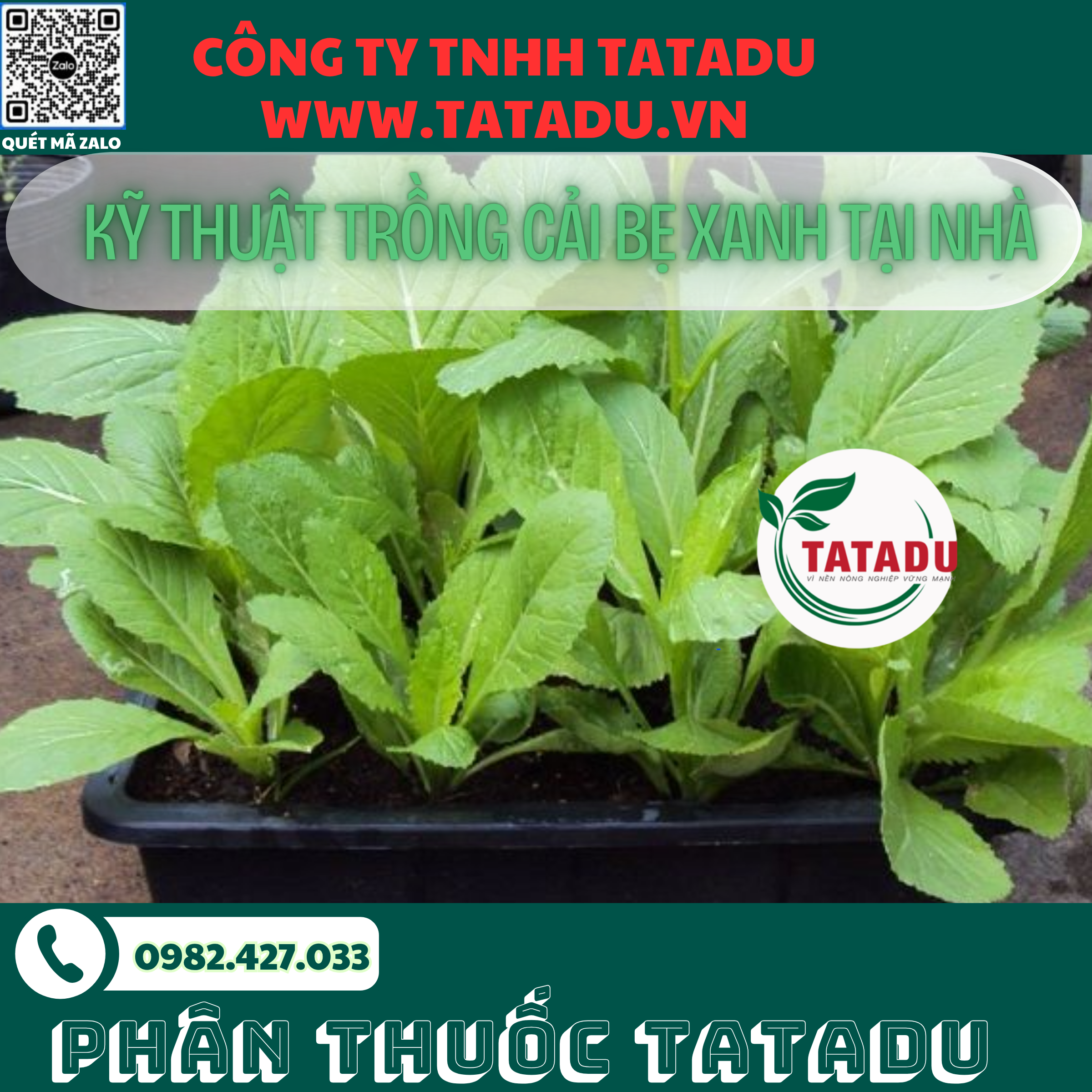 KY THUAT TRONG CAI BE XANH TAI NHA