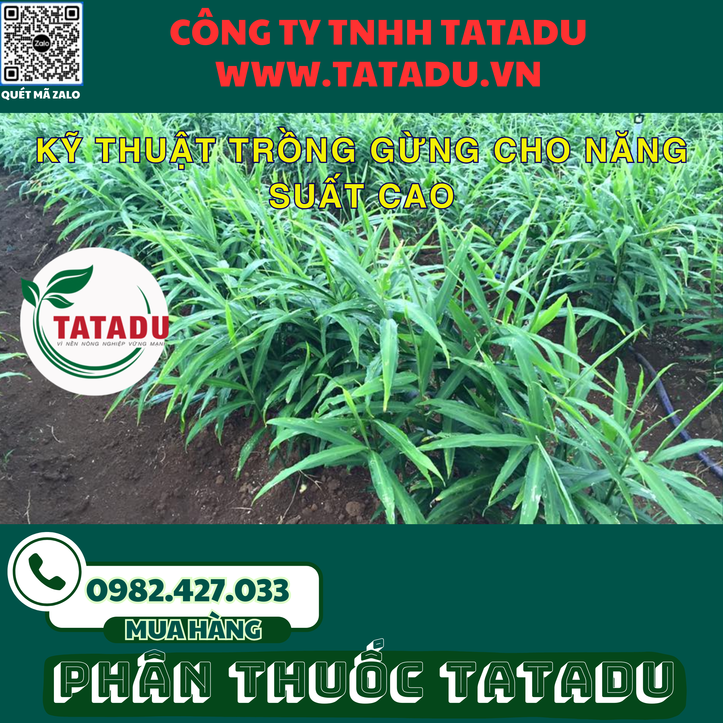 KY THUAT TRONG GUNG CHO NANG SUAT CAO