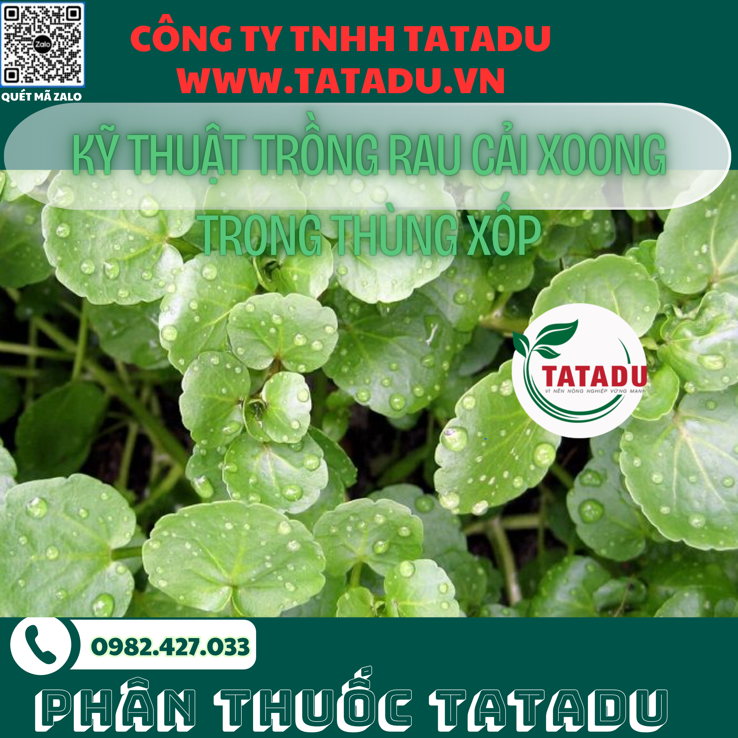 KY THUAT TRONG RAU CAI XOONG TRONG THUNG XOP
