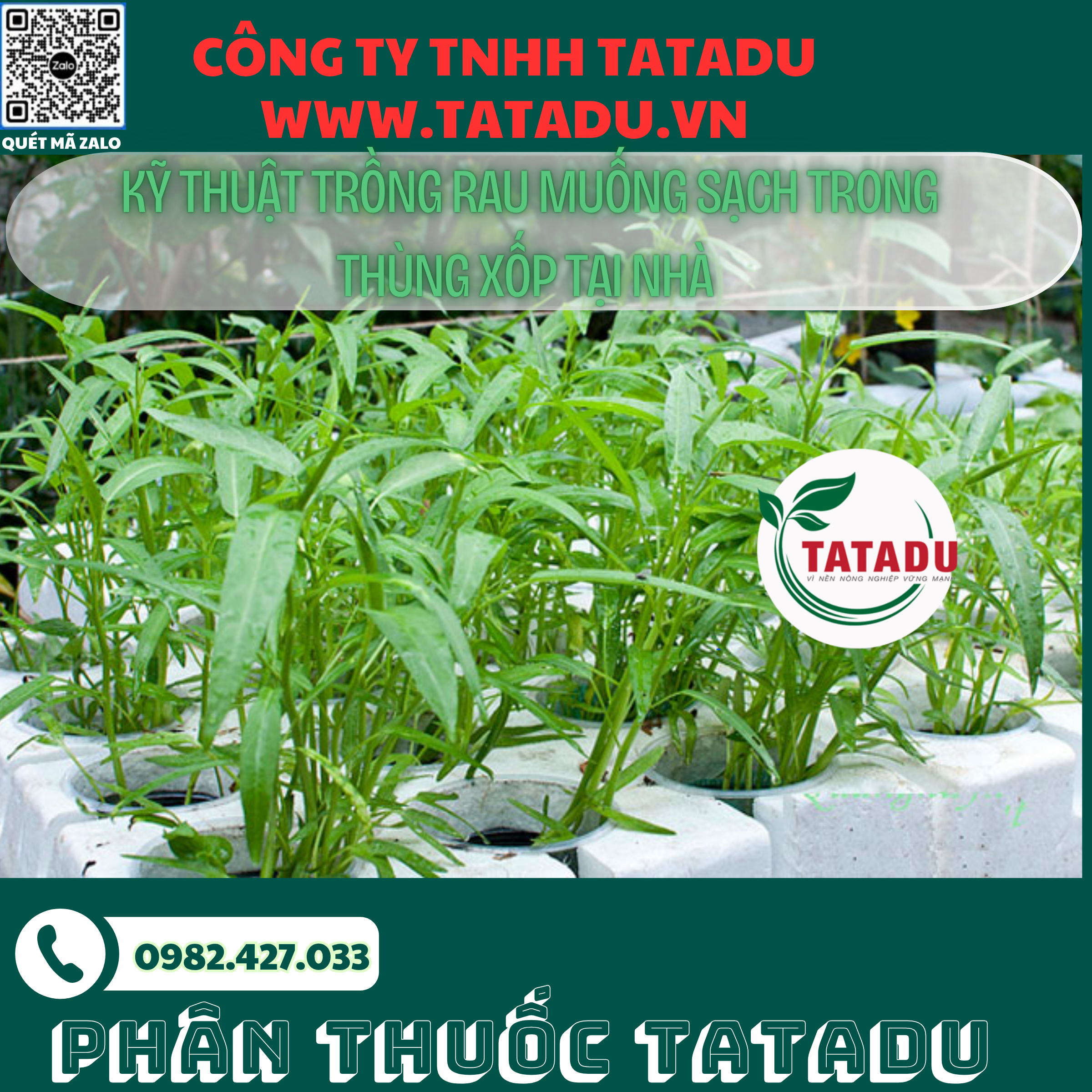 KY THUAT TRONG RAU MUONG SACH TRONG THUNG XOP TAI NHA