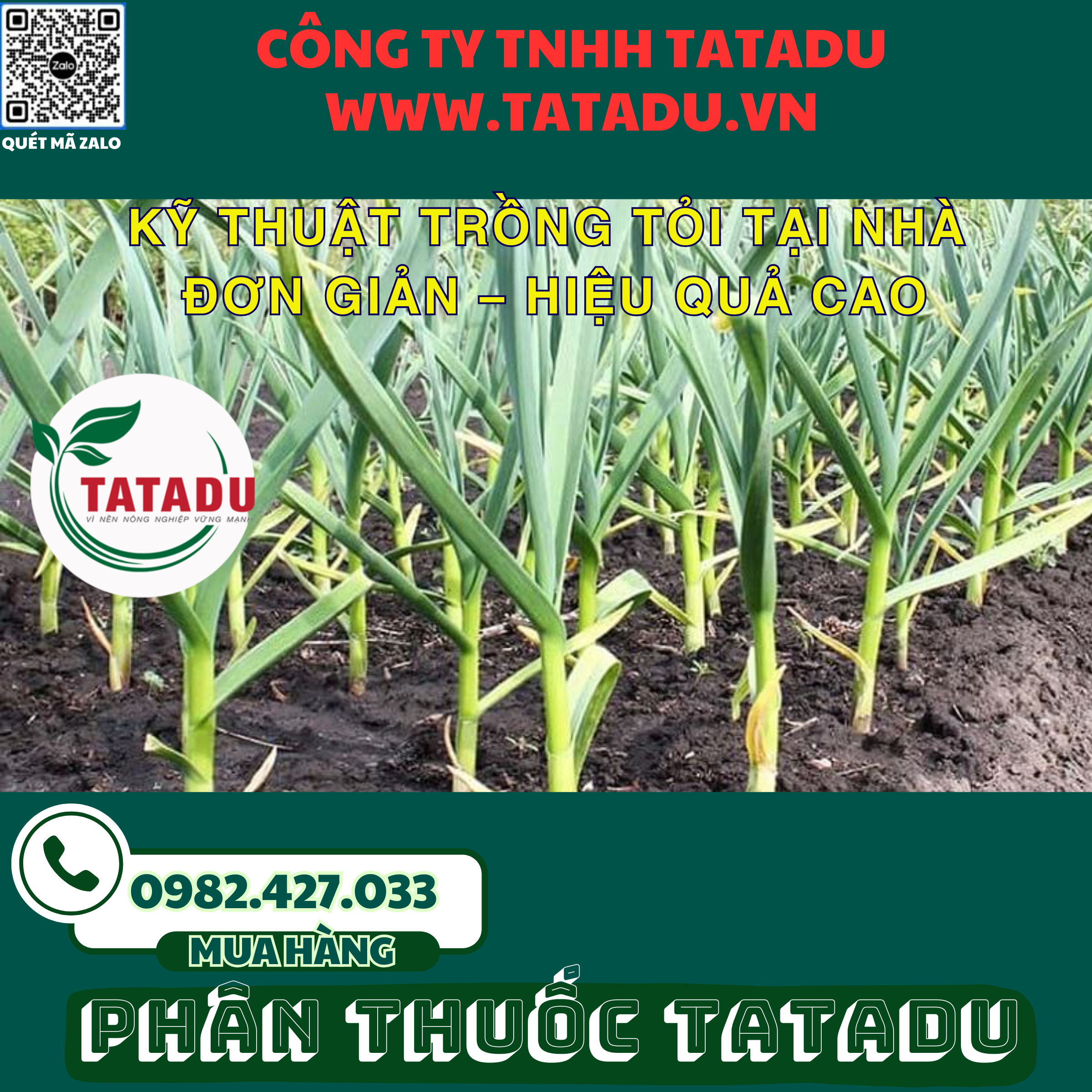 KY THUAT TRONG TOI TAI NHA DON GIAN – HIEU QUA CAO 1
