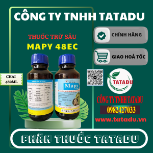 MAPY 48EC