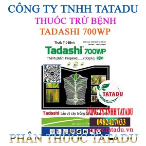 TADASHI 700WP