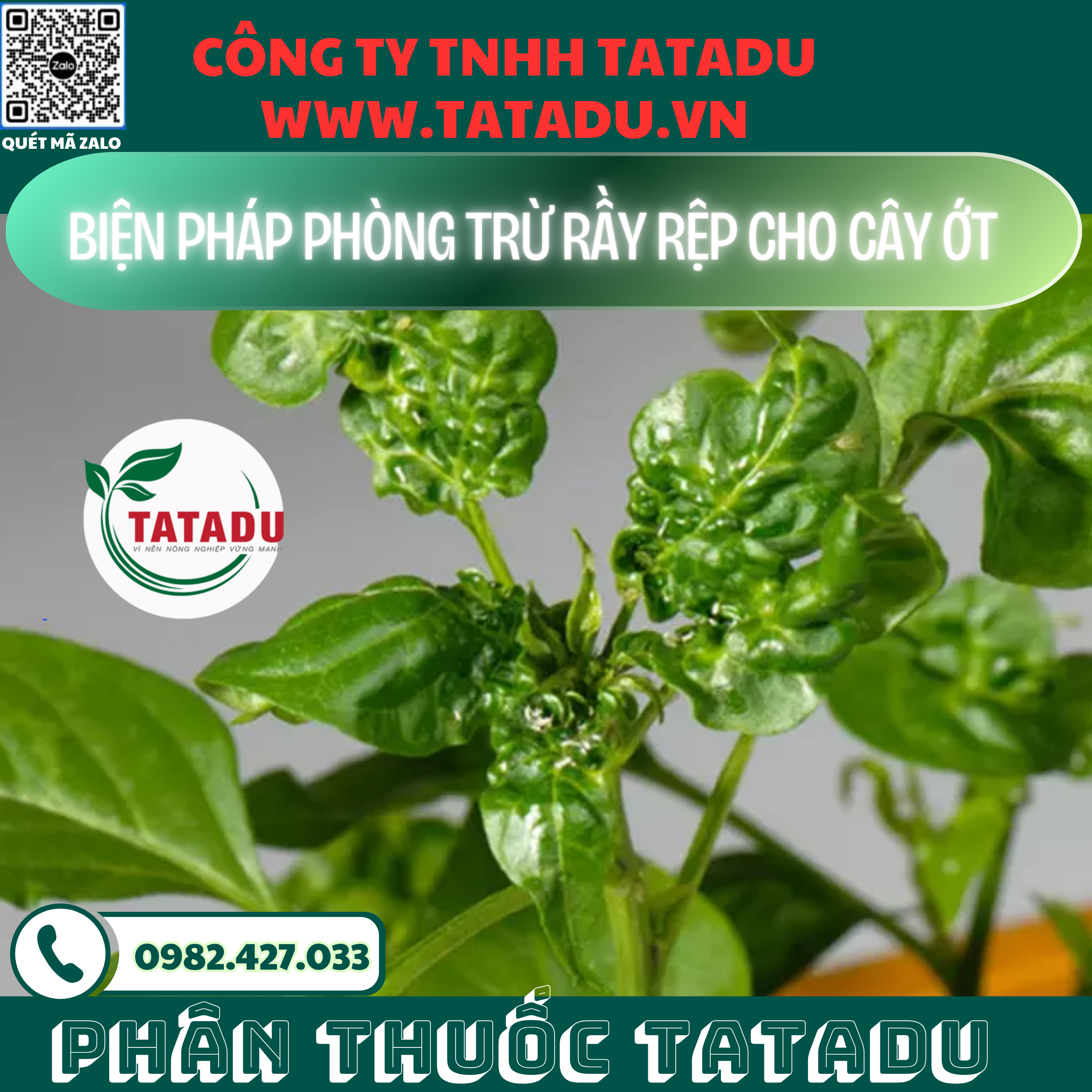 BIEN PHAP PHONG TRU RAY REP CHO CAY OT