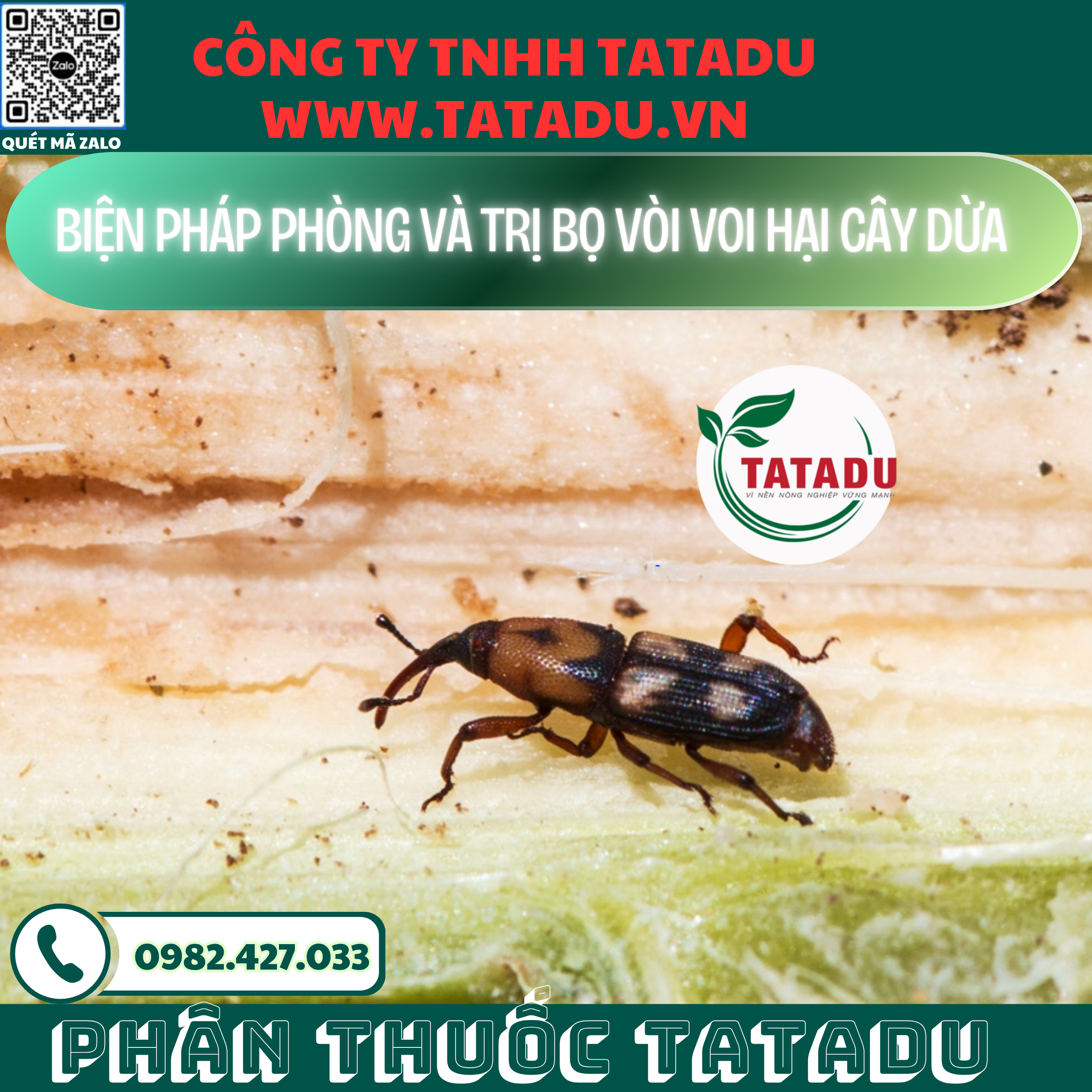 BIEN PHAP PHONG VA TRI BO VOI VOI HAI CAY DUA 1