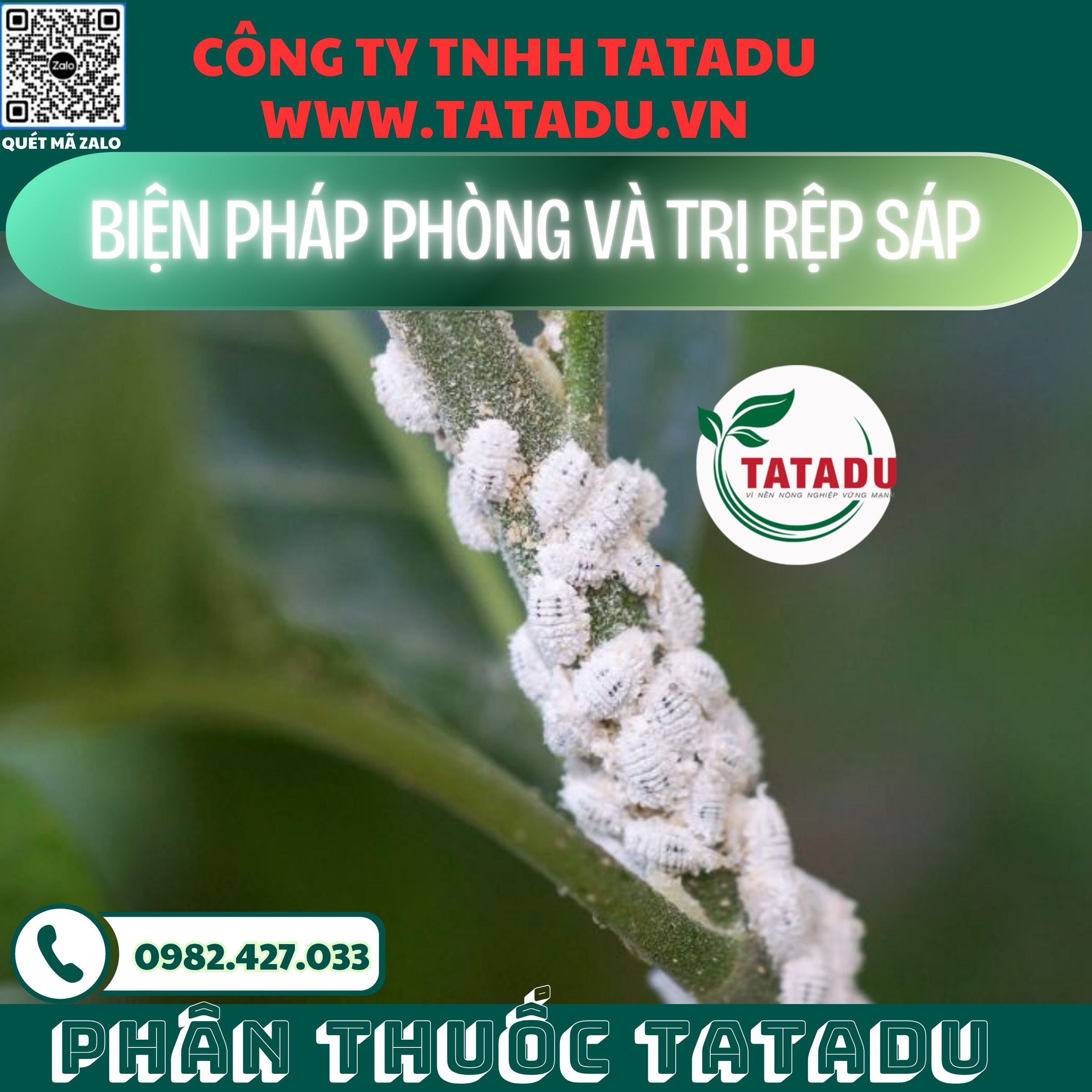 BIEN PHAP PHONG VA TRI REP SAP 1