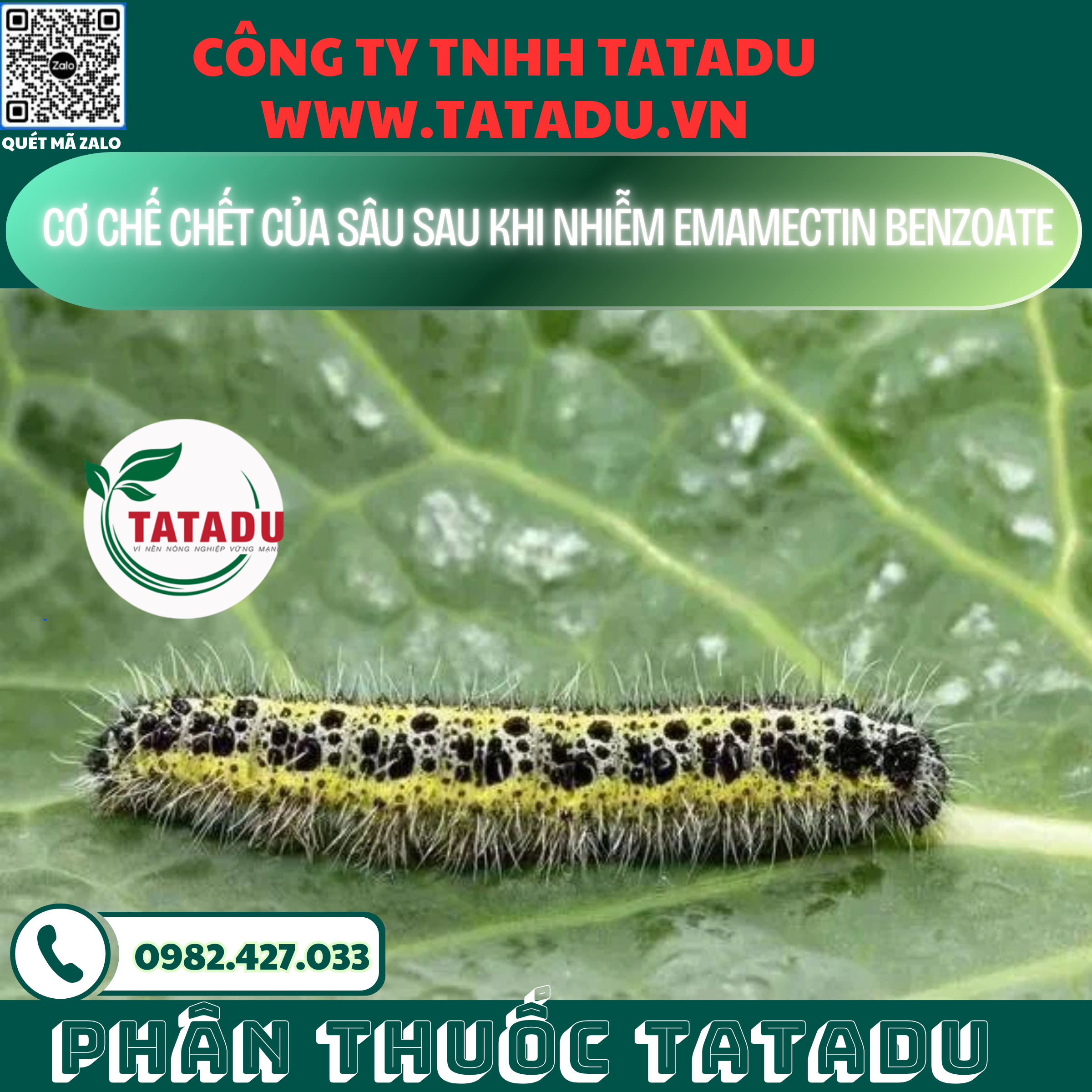 CO CHE CHET CUA SAU SAU KHI NHIEM EMAMECTIN BENZOATE