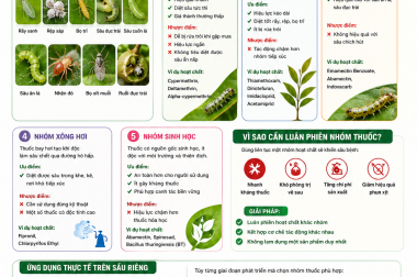 KIẾN THỨC VỀ NHÓM THUỐC TRỪ SÂU