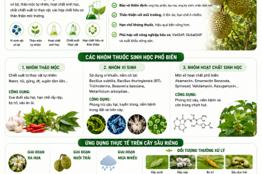 HIỂU VÀ SỬ DỤNG THUỐC BẢO VỆ THỰC VẬT THEO HƯỚNG SINH HỌC