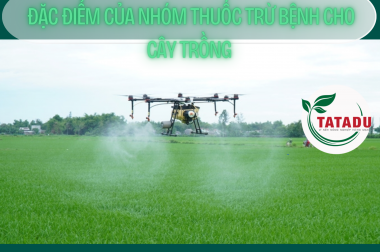 ĐẶC ĐIỂM CỦA NHÓM THUỐC TRỪ BỆNH CHO CÂY TRỒNG