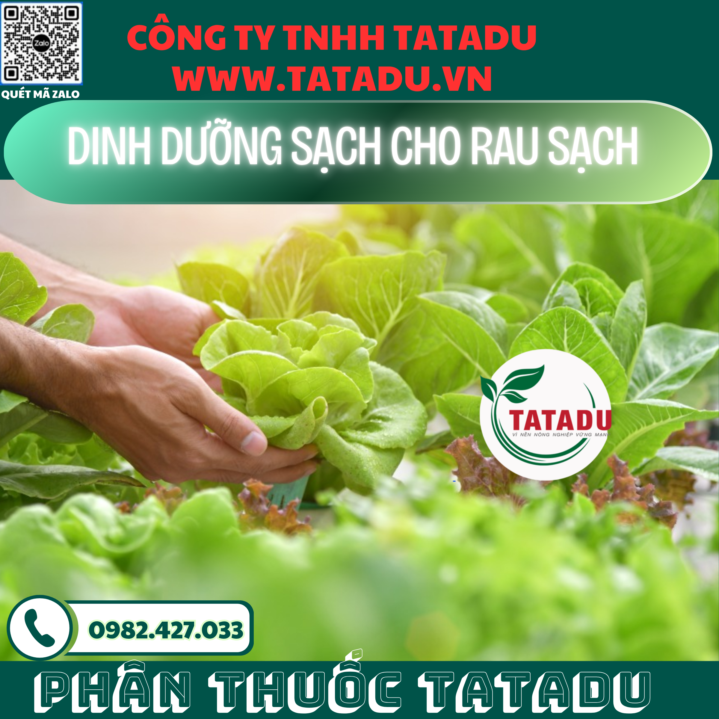 DINH DUONG SACH CHO RAU SACH