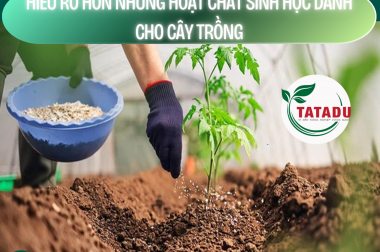 HIỂU RÕ HƠN NHỮNG HOẠT CHẤT SINH HỌC DÀNH CHO CÂY TRỒNG