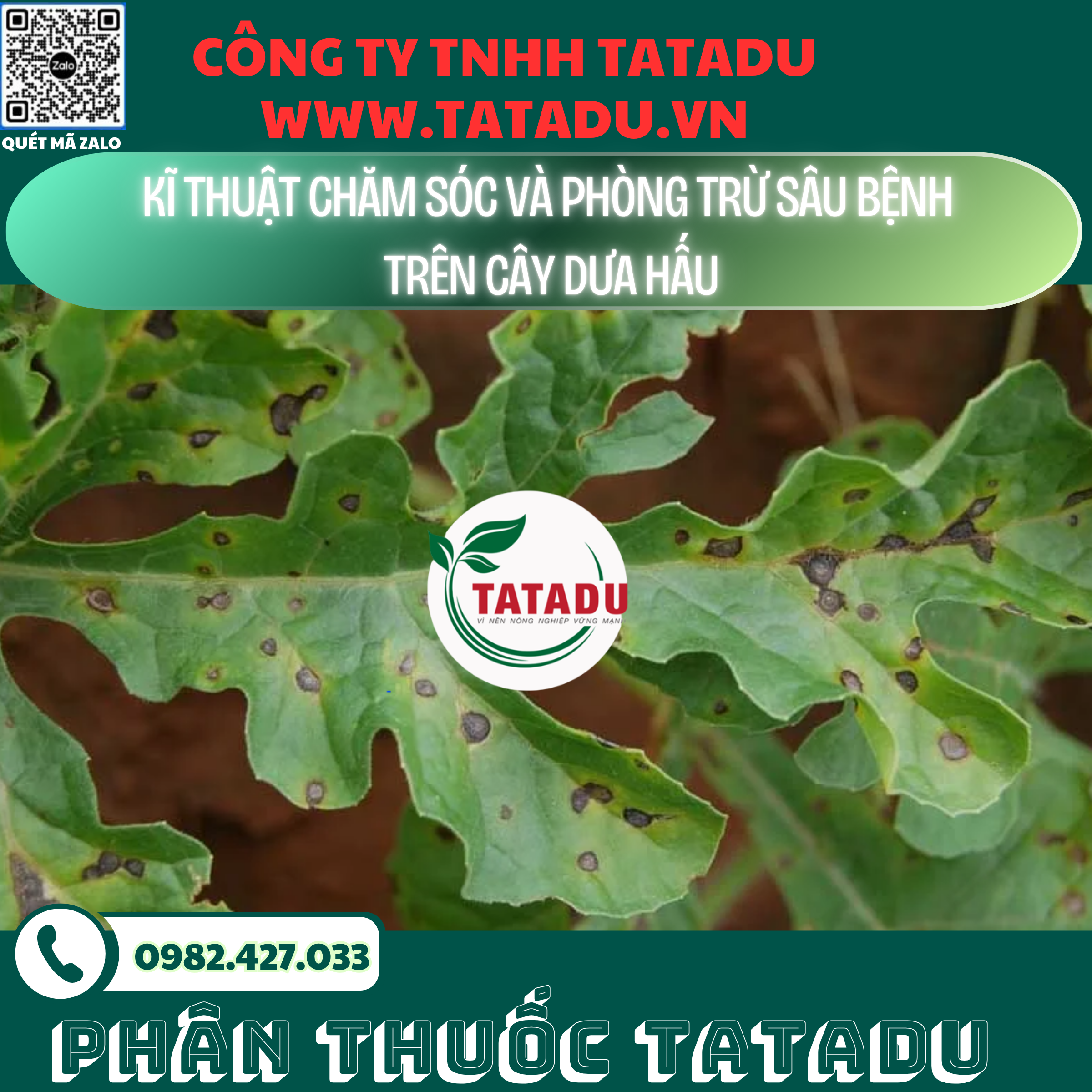 KI THUAT CHAM SOC VA PHONG TRU SAU BENH TREN CAY DUA HAU