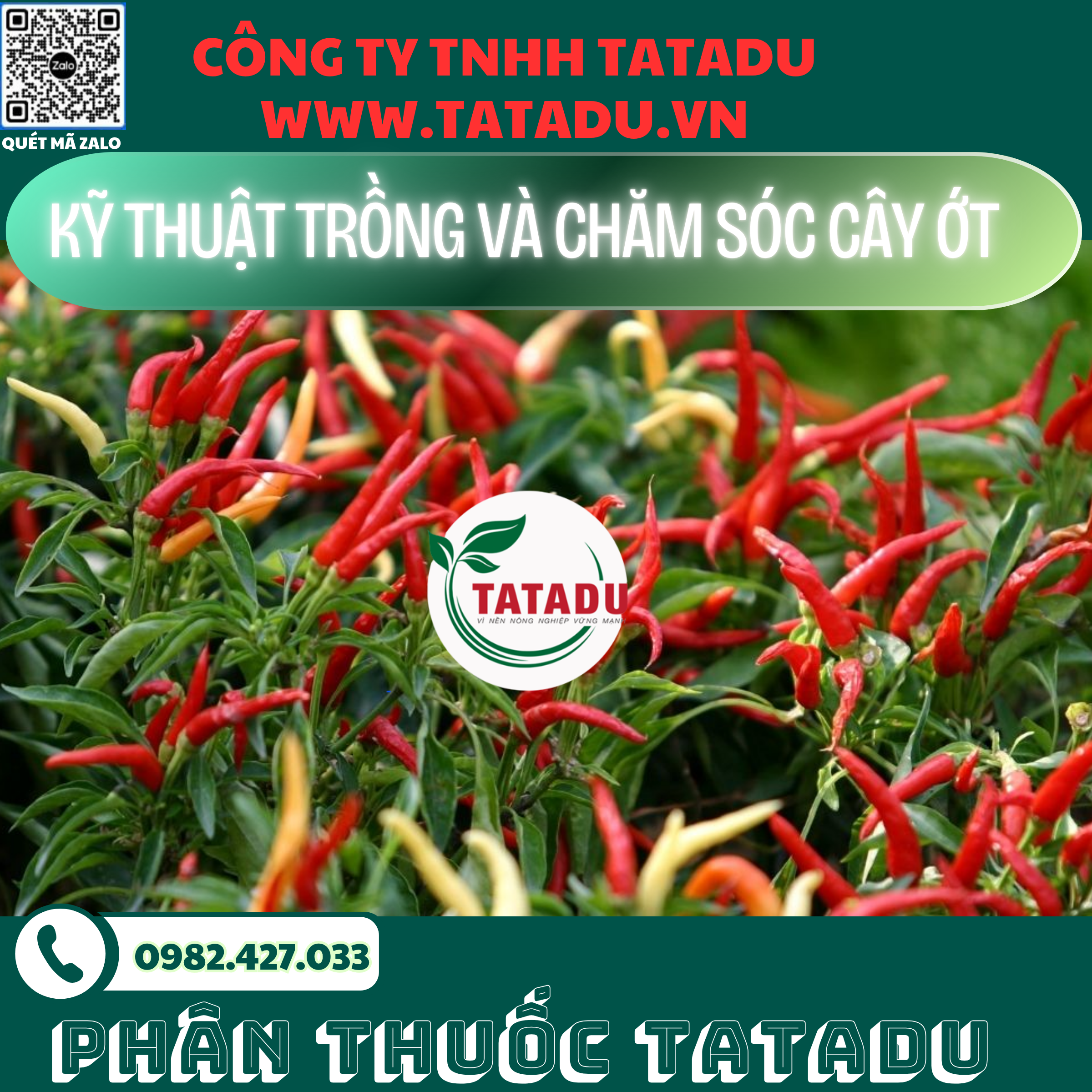 KY THUAT TRONG VA CHAM SOC CAY OT 1