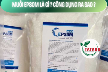 MUỐI EPSOM LÀ GÌ ? CÔNG DỤNG RA SAO ?
