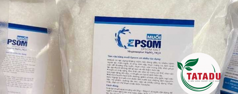 MUOI EPSOM LA GI CONG DUNG RA SAO