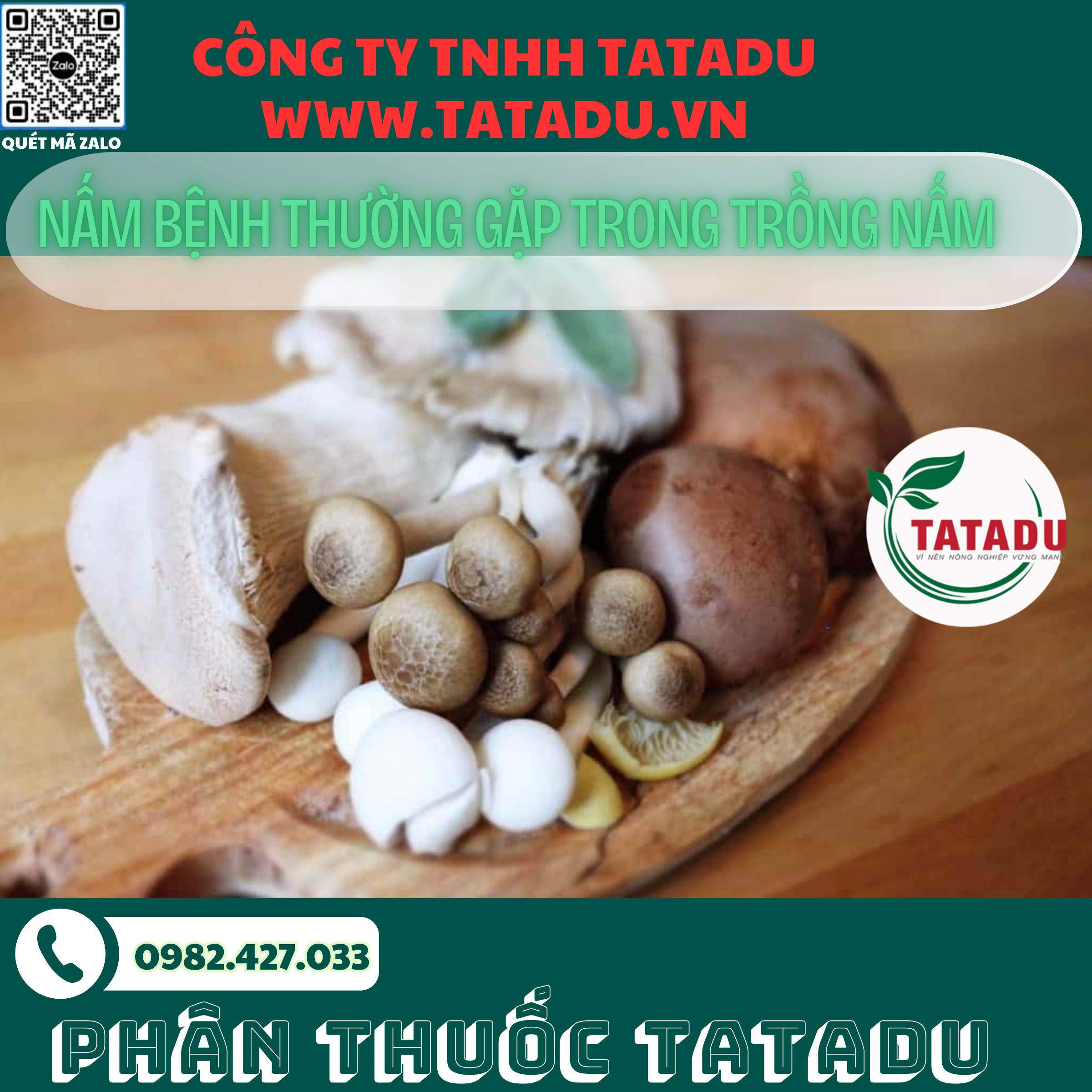 NAM BENH THUONG GAP TRONG TRONG NAM