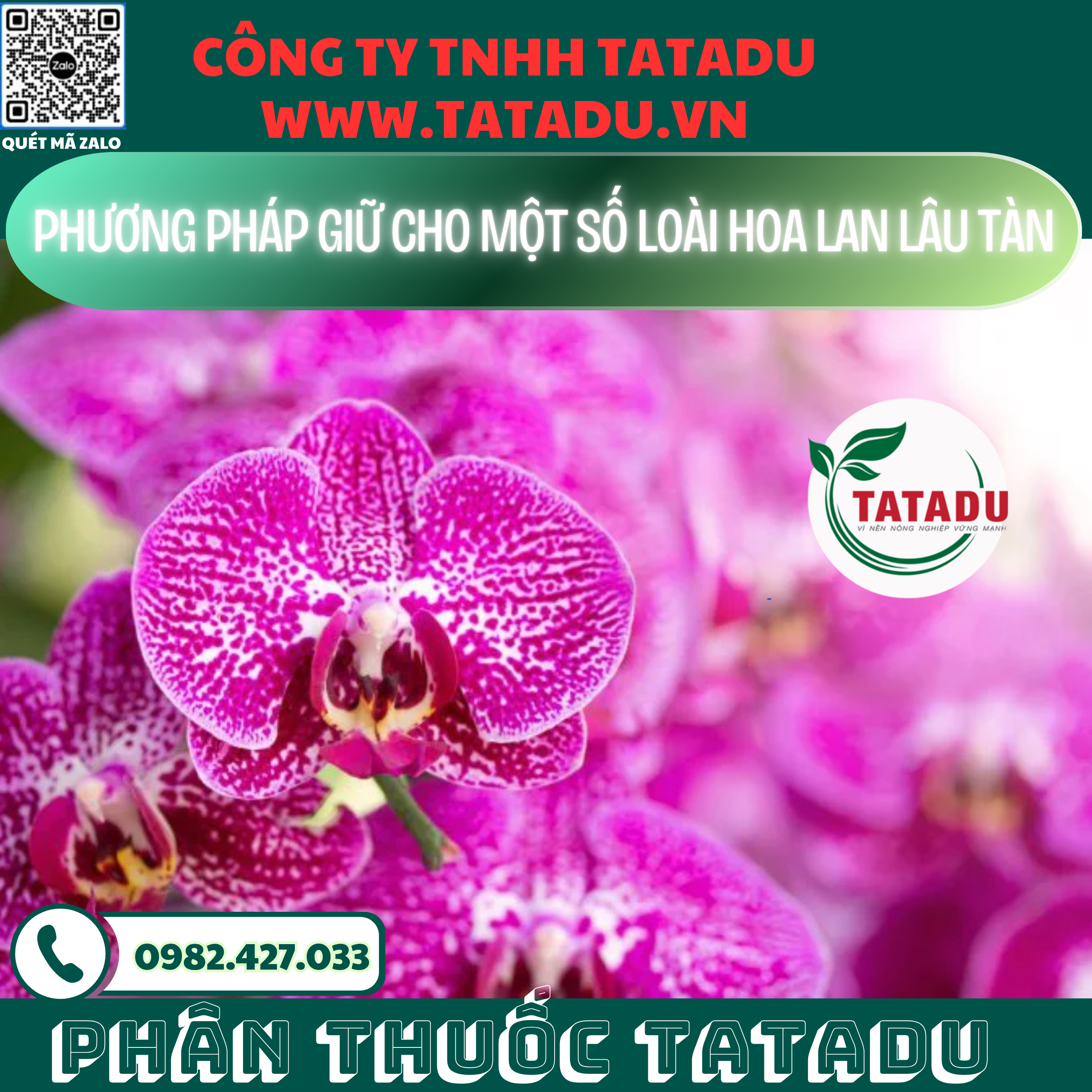 PHUONG PHAP GIU CHO MOT SO LOAI HOA LAN LAU TAN