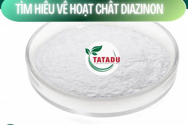 TÌM HIỂU VỀ HOẠT CHẤT DIAZINON