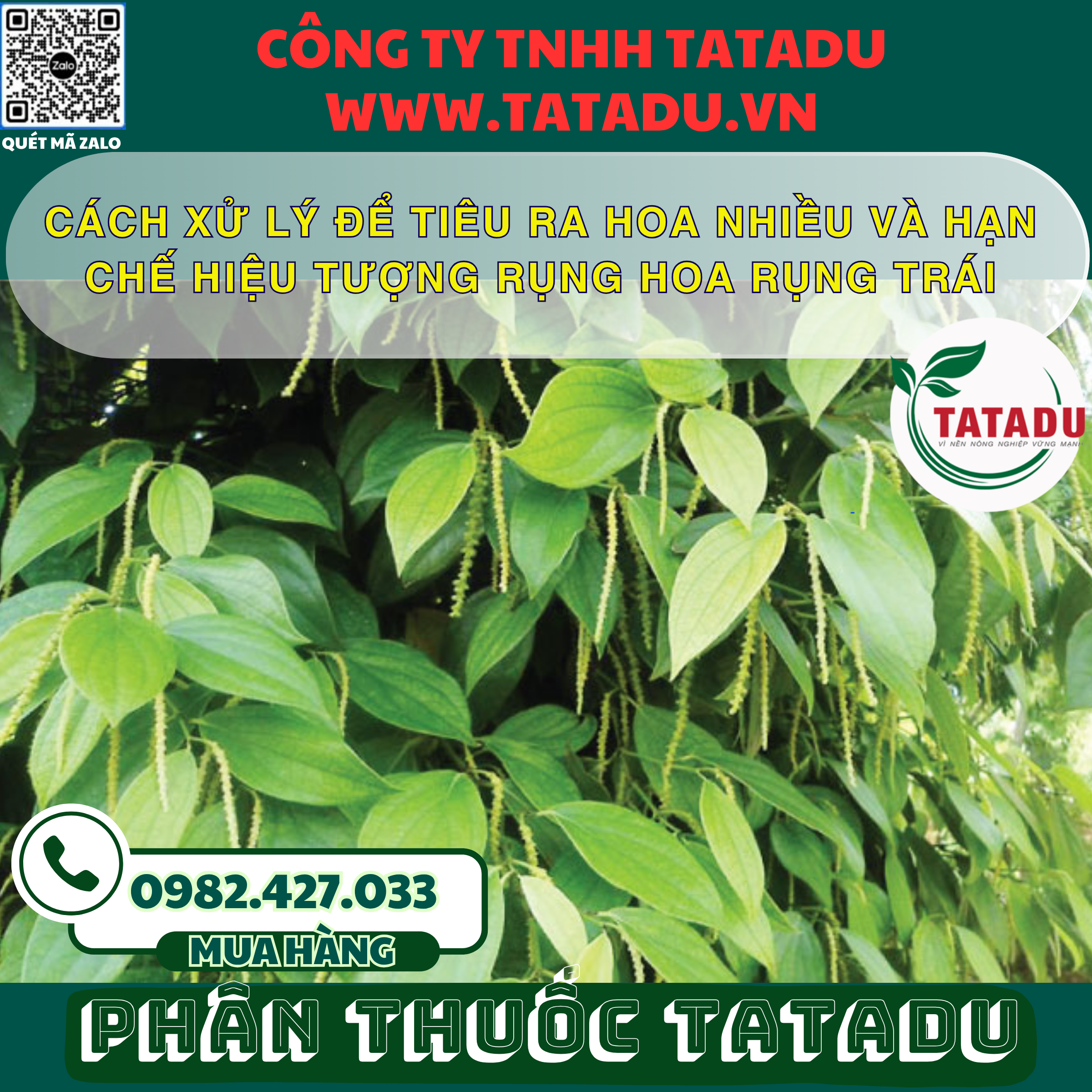 CACH XU LY DE TIEU RA HOA NHIEU VA HAN CHE HIEU TUONG RUNG HOA RUNG TRAI