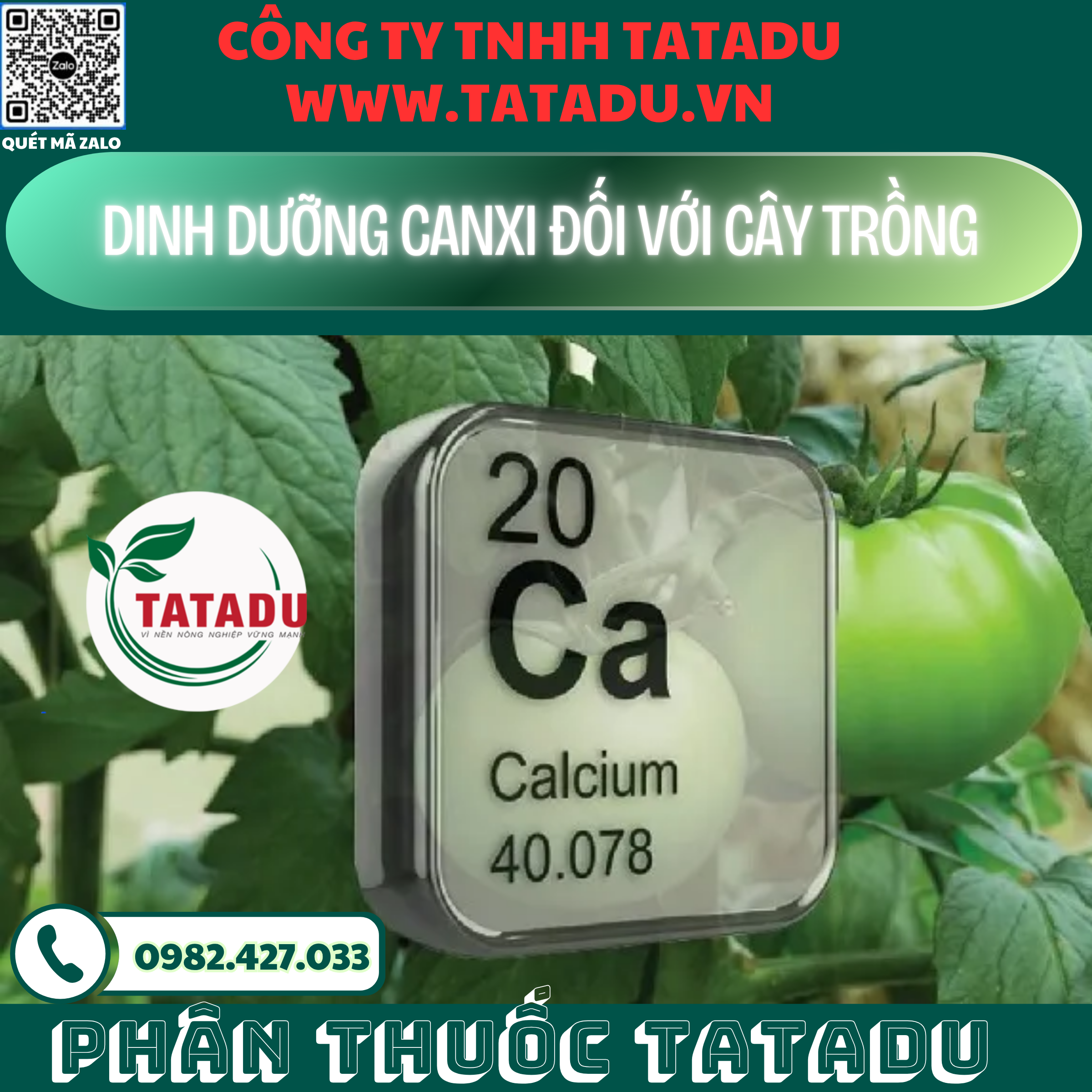 DINH DUONG CANXI DOI VOI CAY TRONG