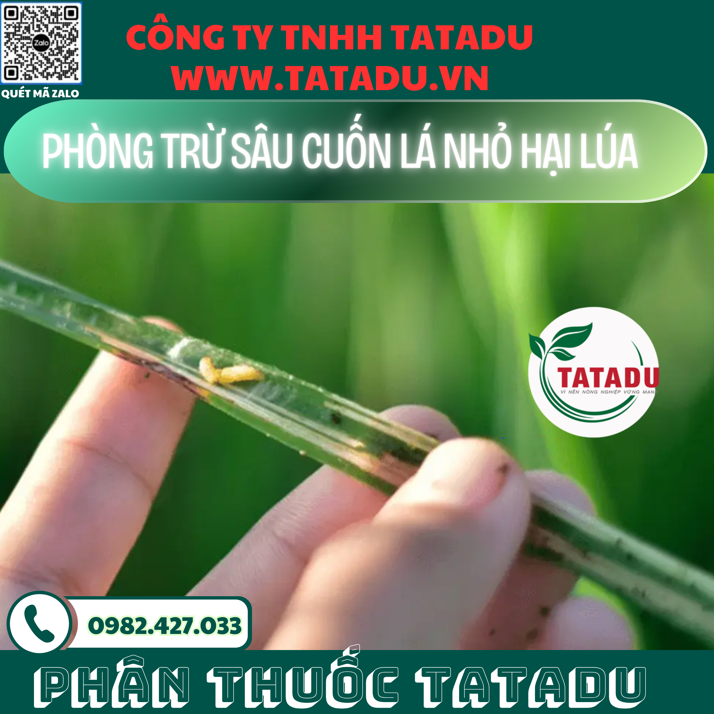 PHONG TRU SAU CUON LA NHO HAI LUA