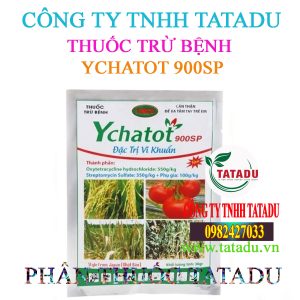 YCHATOT 900SP