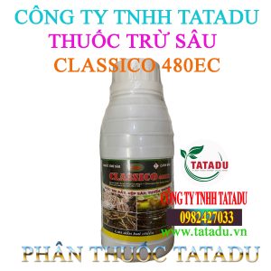 CLASSICO 480EC