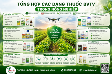 TỔNG HỢP CÁC DẠNG THUỐC BVTV TRONG NÔNG NGHIỆP – CÔNG TY TNHH TATADU