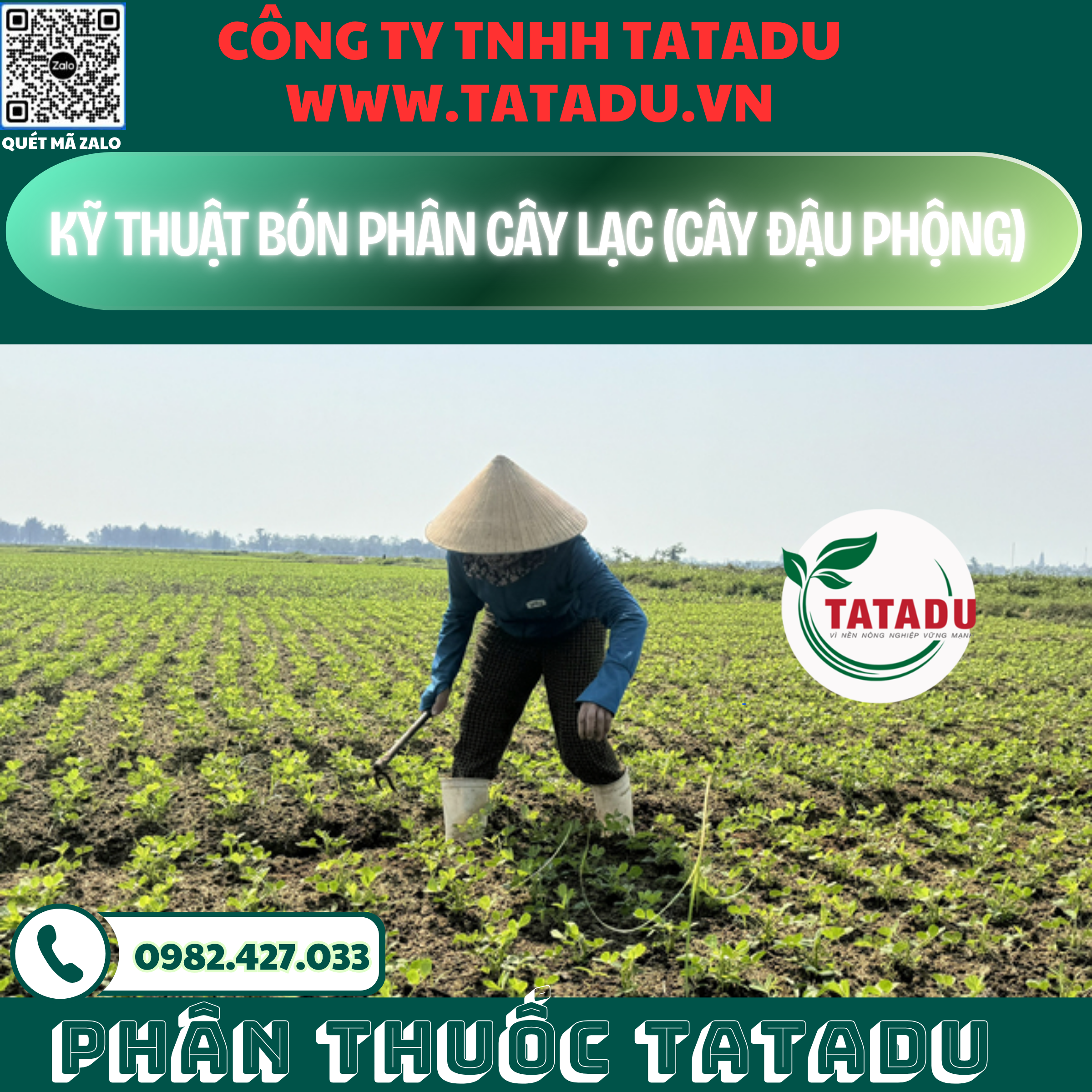 KY THUAT BON PHAN CAY LAC CAY DAU PHONG