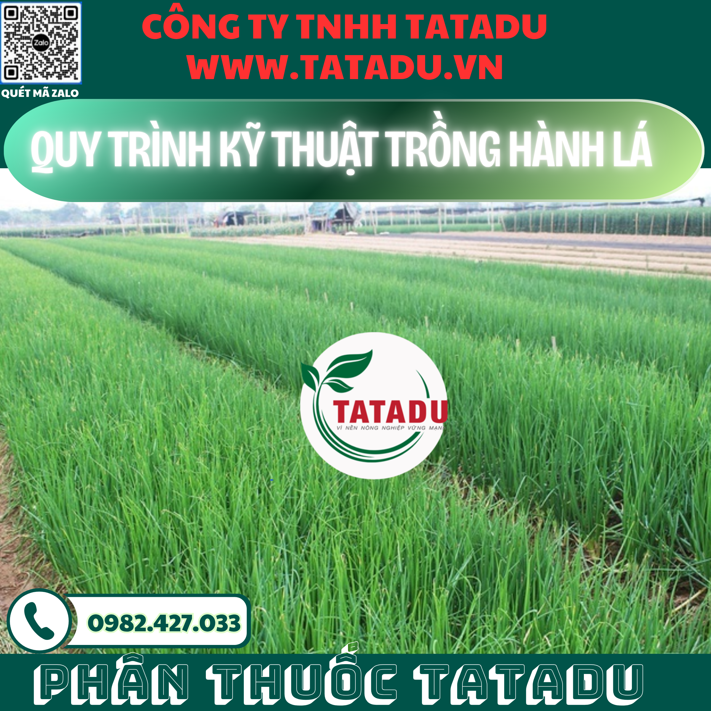 QUY TRINH KY THUAT TRONG HANH LA