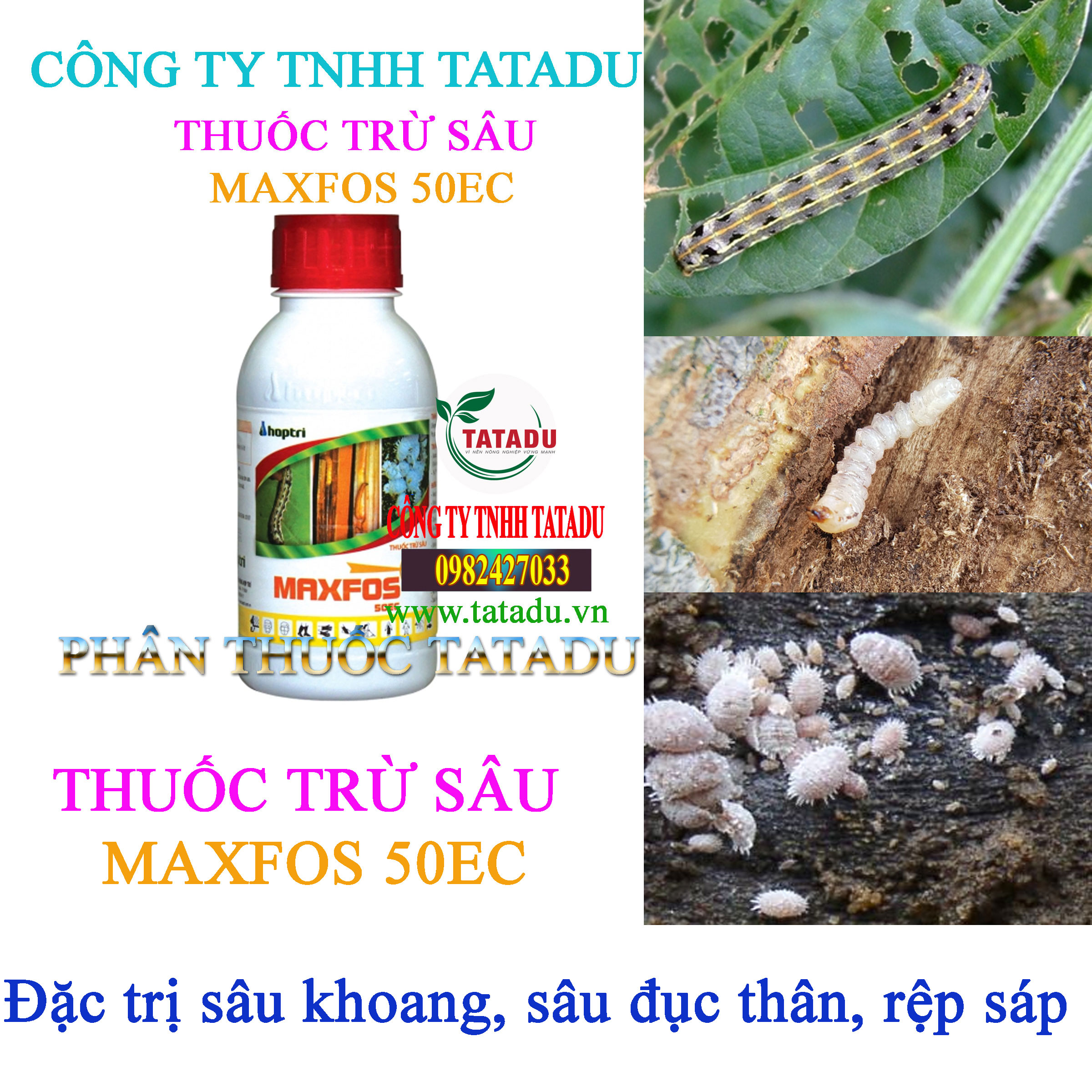 MAXFOS 50EC tri sau khoang MAXFOS 50EC tri sau khoang