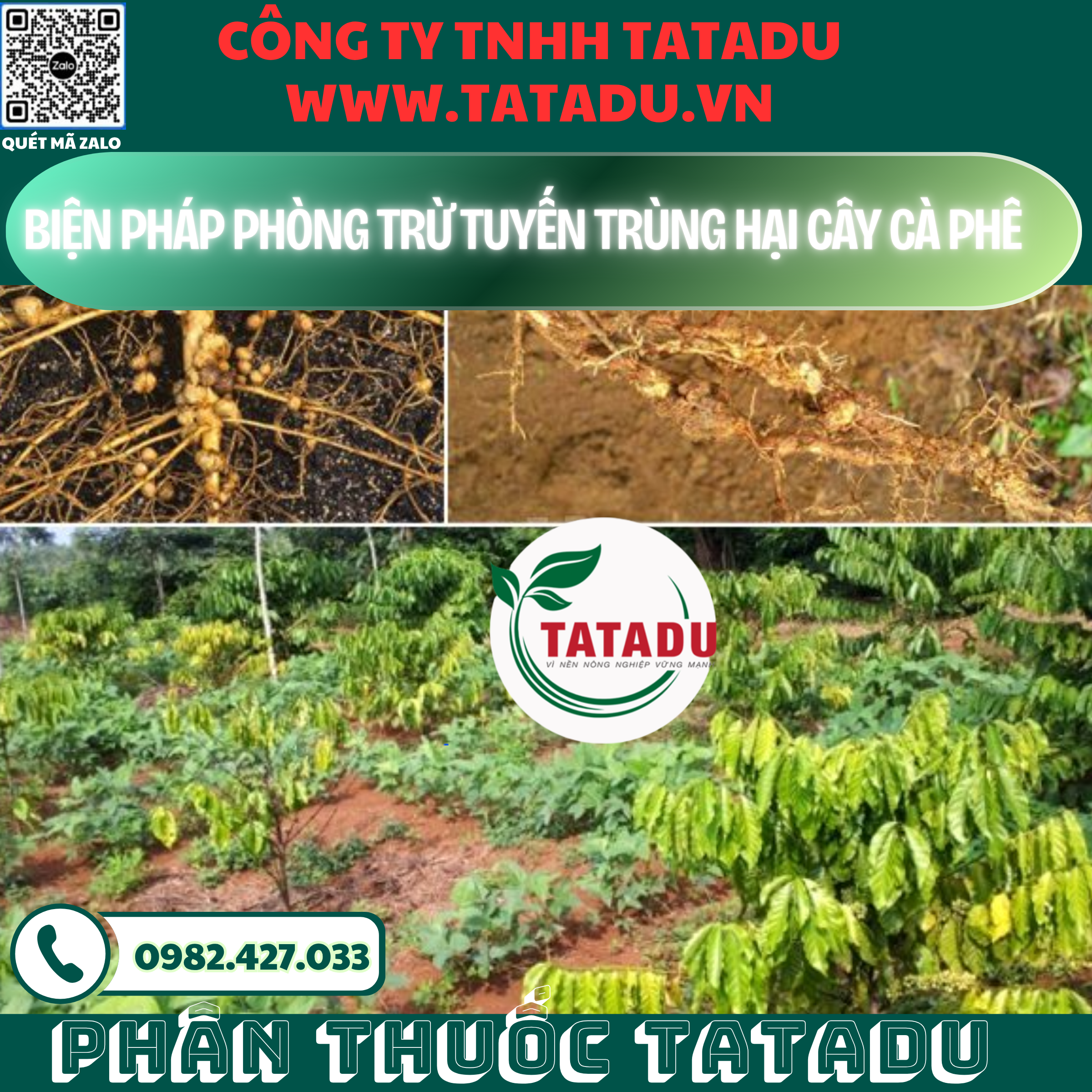 BIEN PHAP PHONG TRU TUYEN TRUNG HAI CAY CA PHE