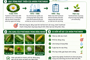 LỊCH SỬ PHÁT TRIỂN VÀ ỨNG DỤNG CỦA CÁC HÓA CHẤT NHÓM PYRETHROID – CÔNG TY TNHH TATADU