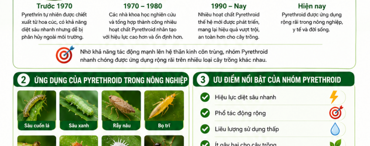 LỊCH SỬ PHÁT TRIỂN VÀ ỨNG DỤNG CỦA CÁC HÓA CHẤT NHÓM PYRETHROID