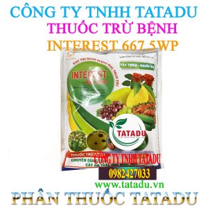 INTEREST 667.5WP