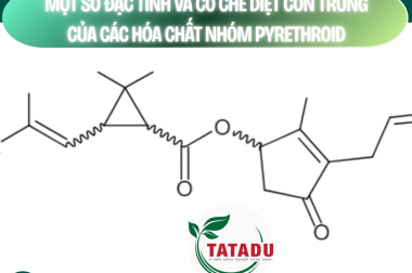 MỘT SỐ ĐẶC TÍNH VÀ CƠ CHẾ DIỆT CÔN TRÙNG CỦA CÁC HÓA CHẤT NHÓM PYRETHROID – CÔNG TY TNHH TATADU