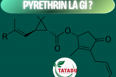 PYRETHRIN LÀ GÌ ? – CÔNG TY TNHH TATADU