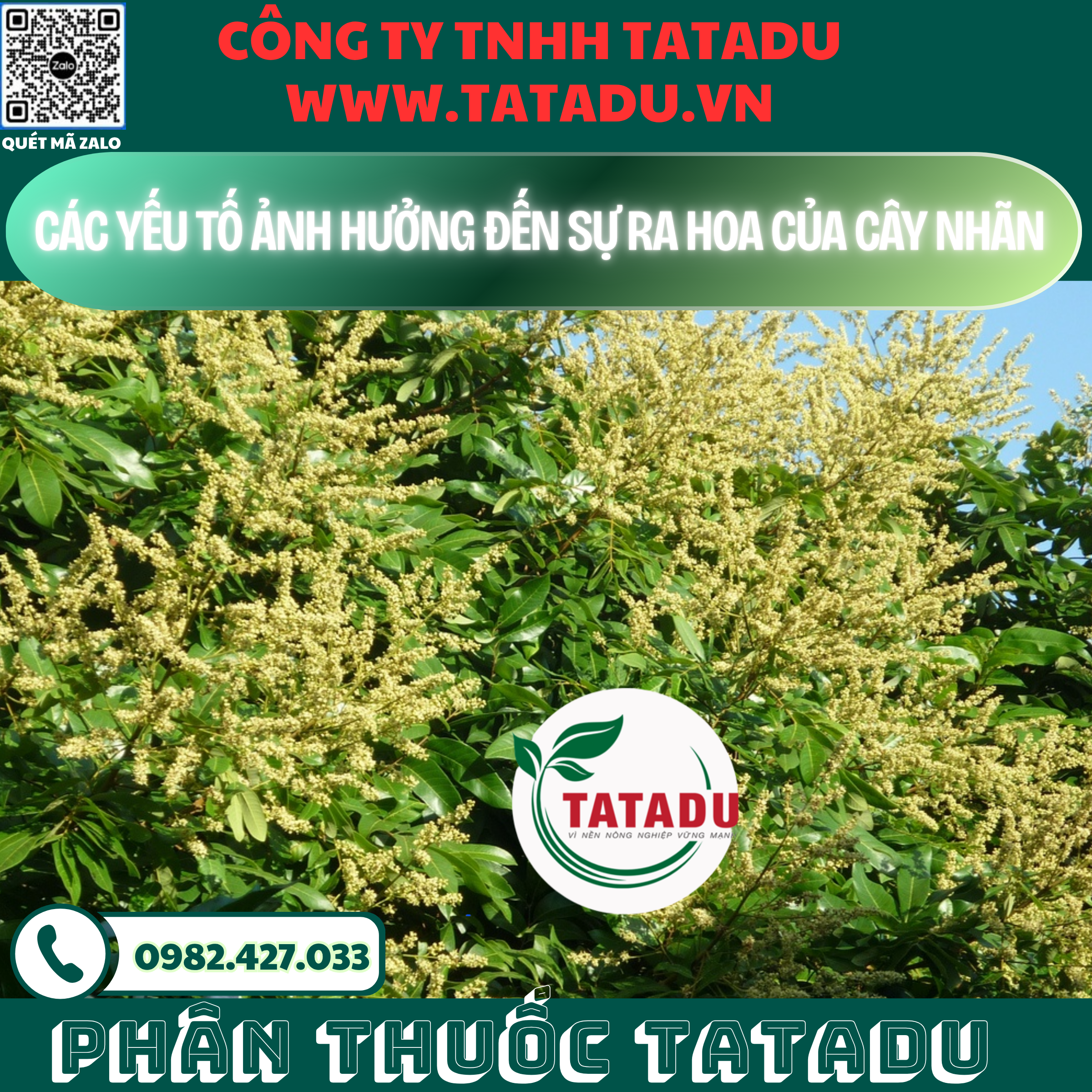 CAC YEU TO ANH HUONG DEN SU RA HOA CUA CAY NHAN