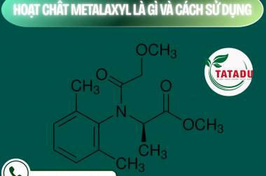 HOẠT CHẤT METALAXYL LÀ GÌ ?