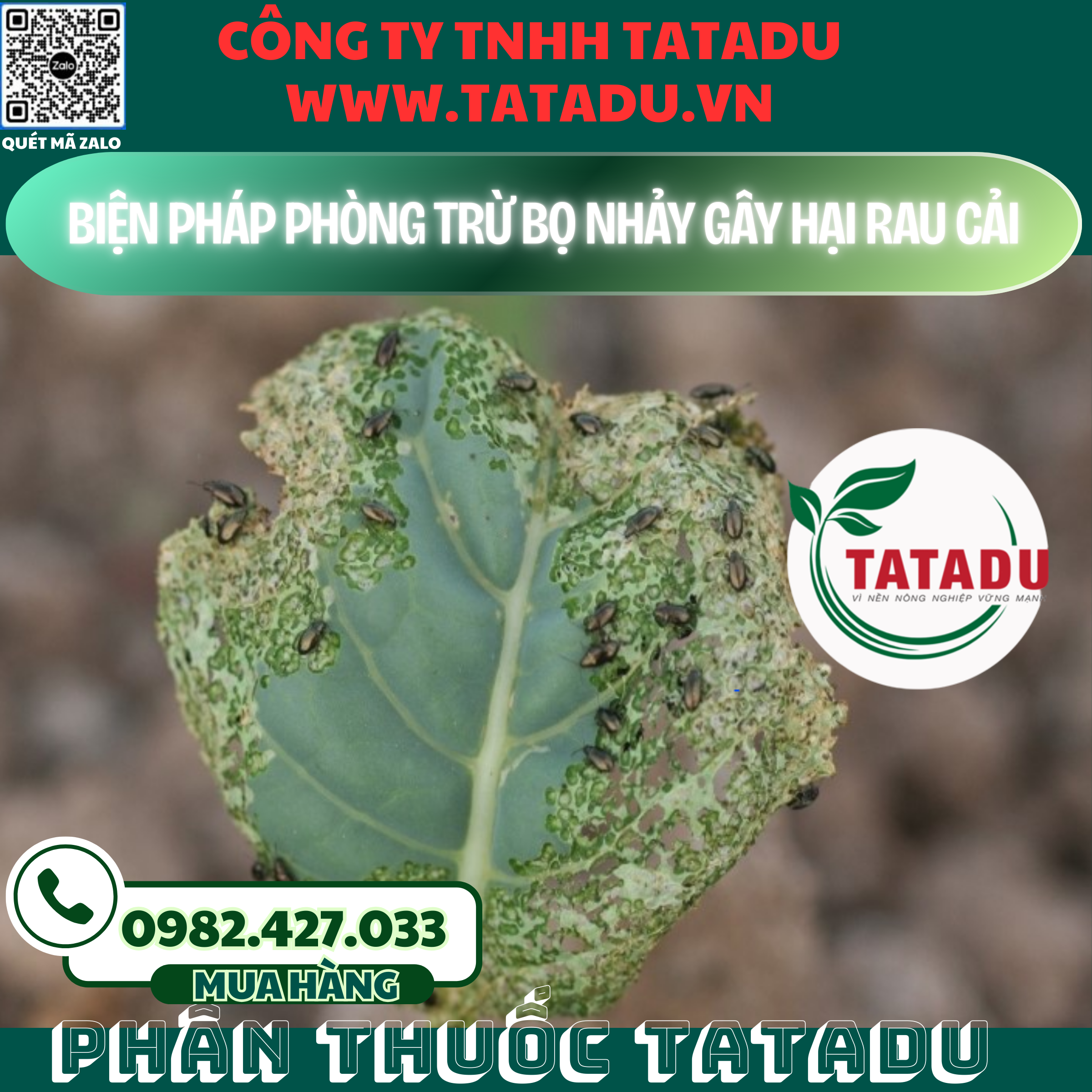 BIEN PHAP PHONG TRU BO NHAY GAY HAI RAU CAI
