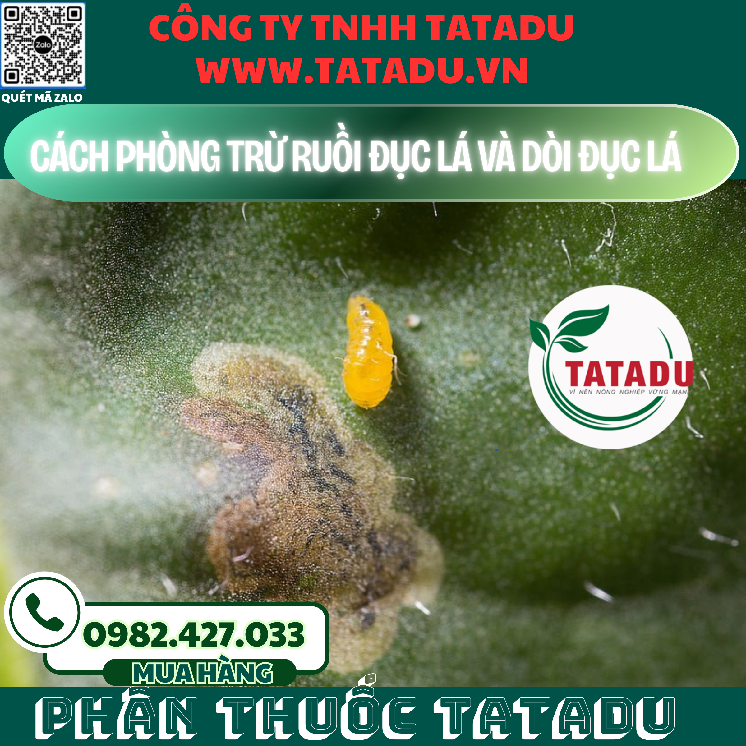 CACH PHONG TRU RUOI DUC LA VA DOI DUC LA