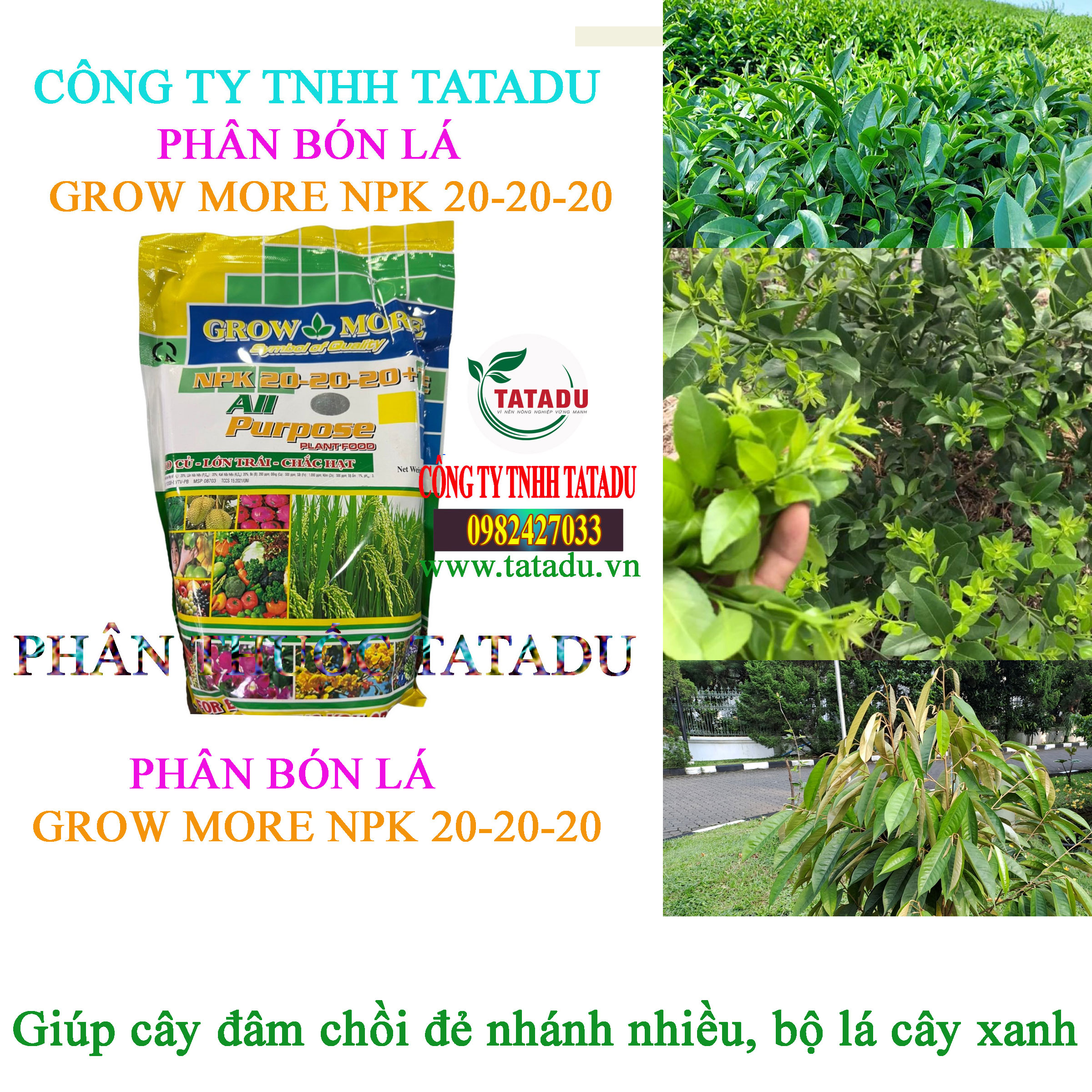GROW MORE NPK 20 20 20 DAM CHOI GROW MORE NPK 20 20 20 DAM CHOI