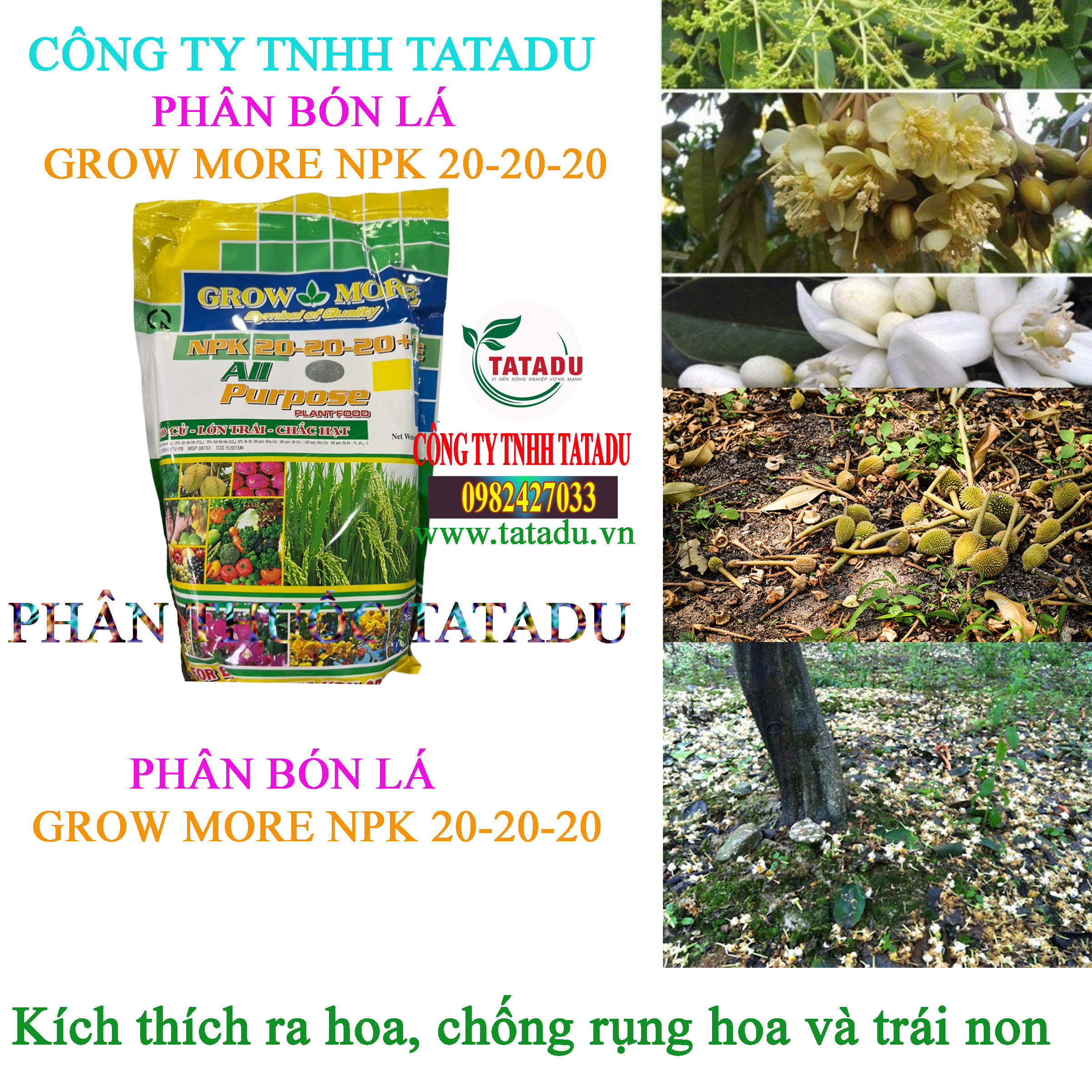 GROW MORE NPK 20 20 20 ra hoa GROW MORE NPK 20 20 20 ra hoa