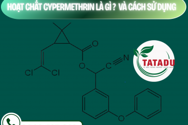 HOẠT CHẤT CYPERMETHRIN LÀ GÌ? VÀ CÁCH SỬ DỤNG – CÔNG TY TNHH TATADU