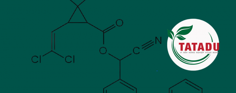 HOAT CHAT CYPERMETHRIN LA GI VA CACH SU DUNG