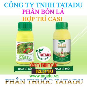 HOP TRI CASI