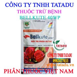 BELLKUTE 40WP
