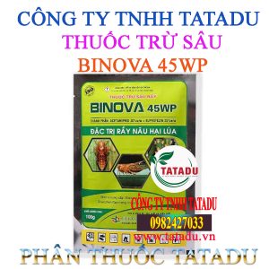 BINOVA 45WP